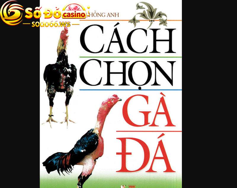 Sách “Cách chọn gà đá” giúp anh em có được nền tảng vững chắc