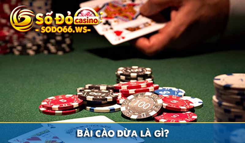 Bài cào dừa là gì?