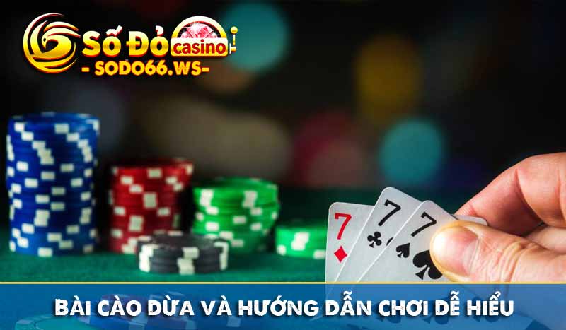 bài cào dừa và hướng dẫn chơi dễ hiểu
