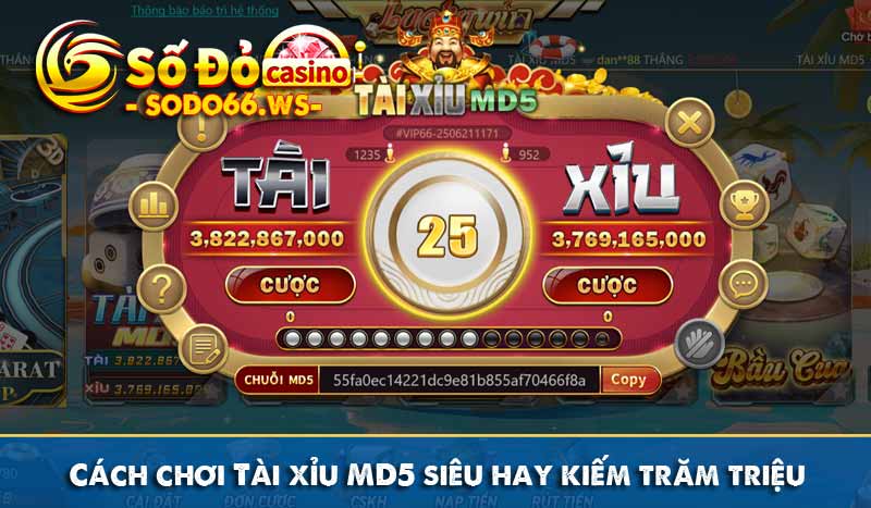 Cách chơi Tài xỉu MD5 siêu hay kiếm trăm triệu