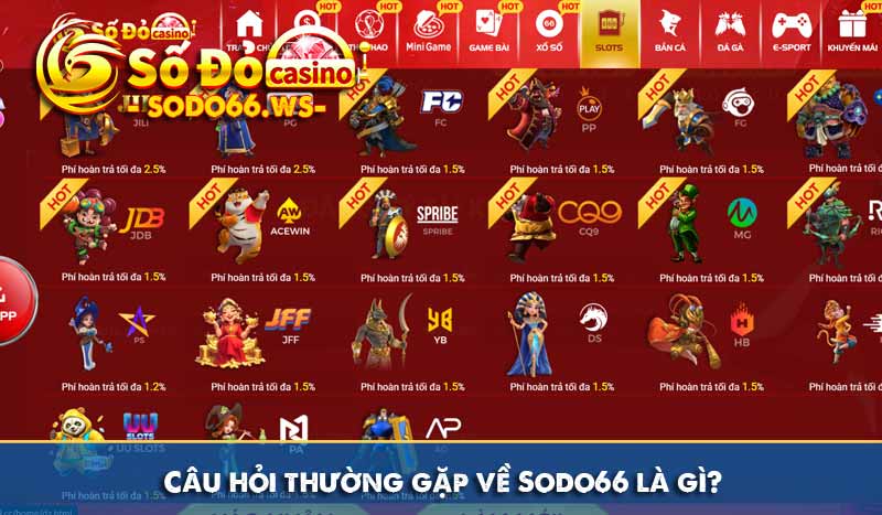 Câu hỏi thường gặp về Sodo66 là gì?