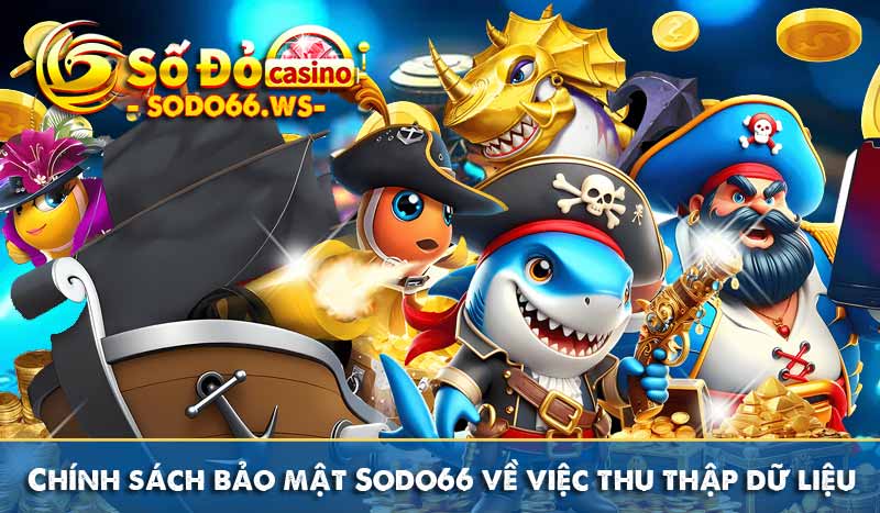 Chính sách bảo mật Sodo66 về việc thu thập dữ liệu