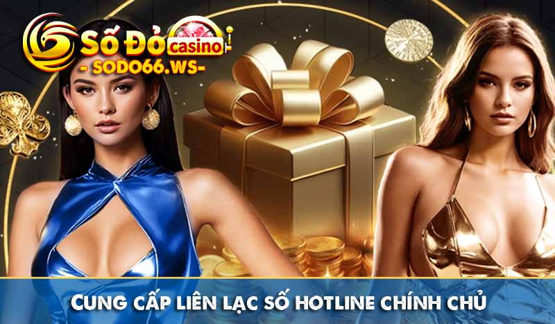 Cung cấp liên lạc số hotline chính chủ