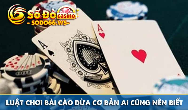 Luật chơi bài cào dừa cơ bản ai cũng nên biết